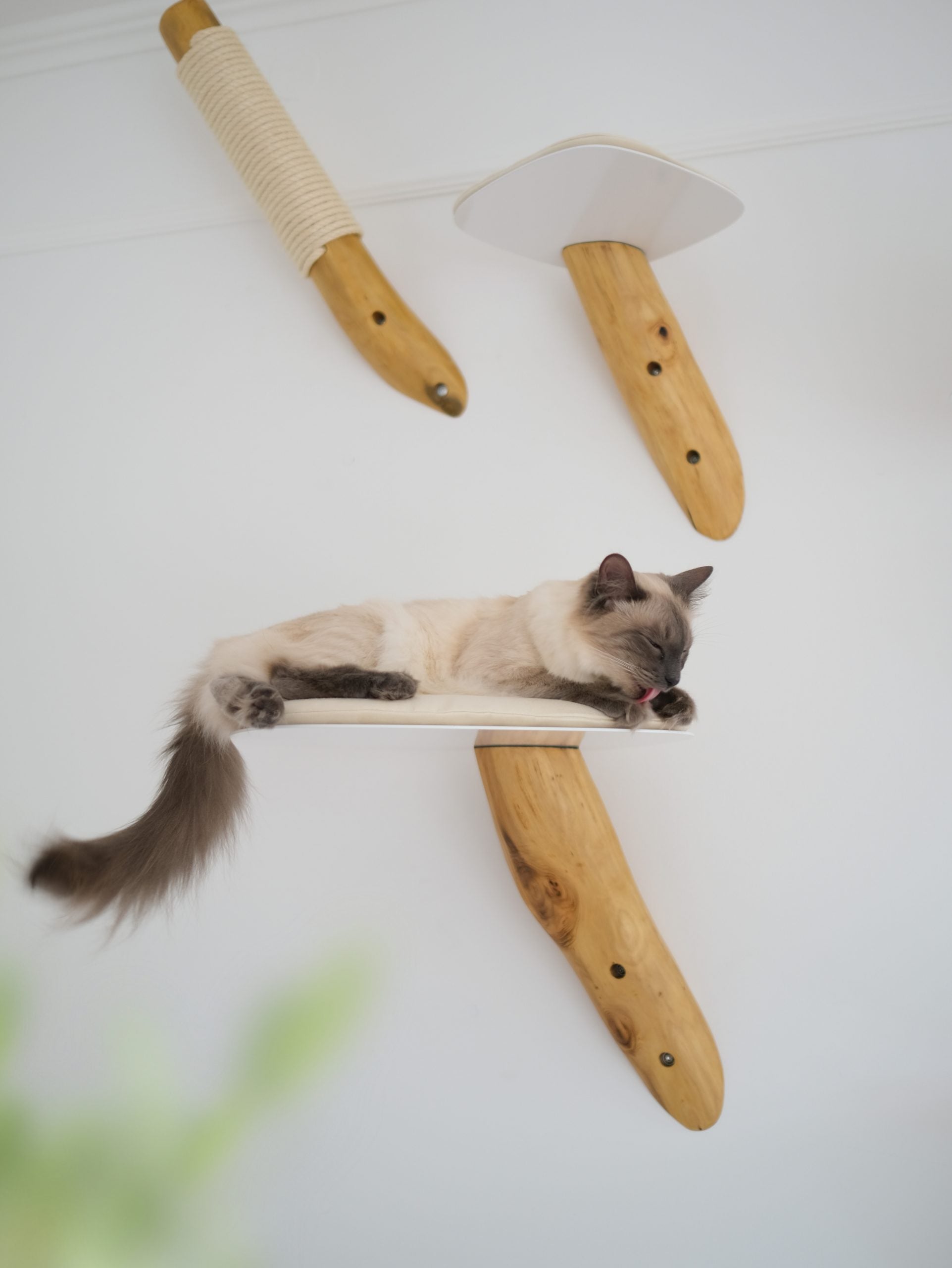 Scratching post