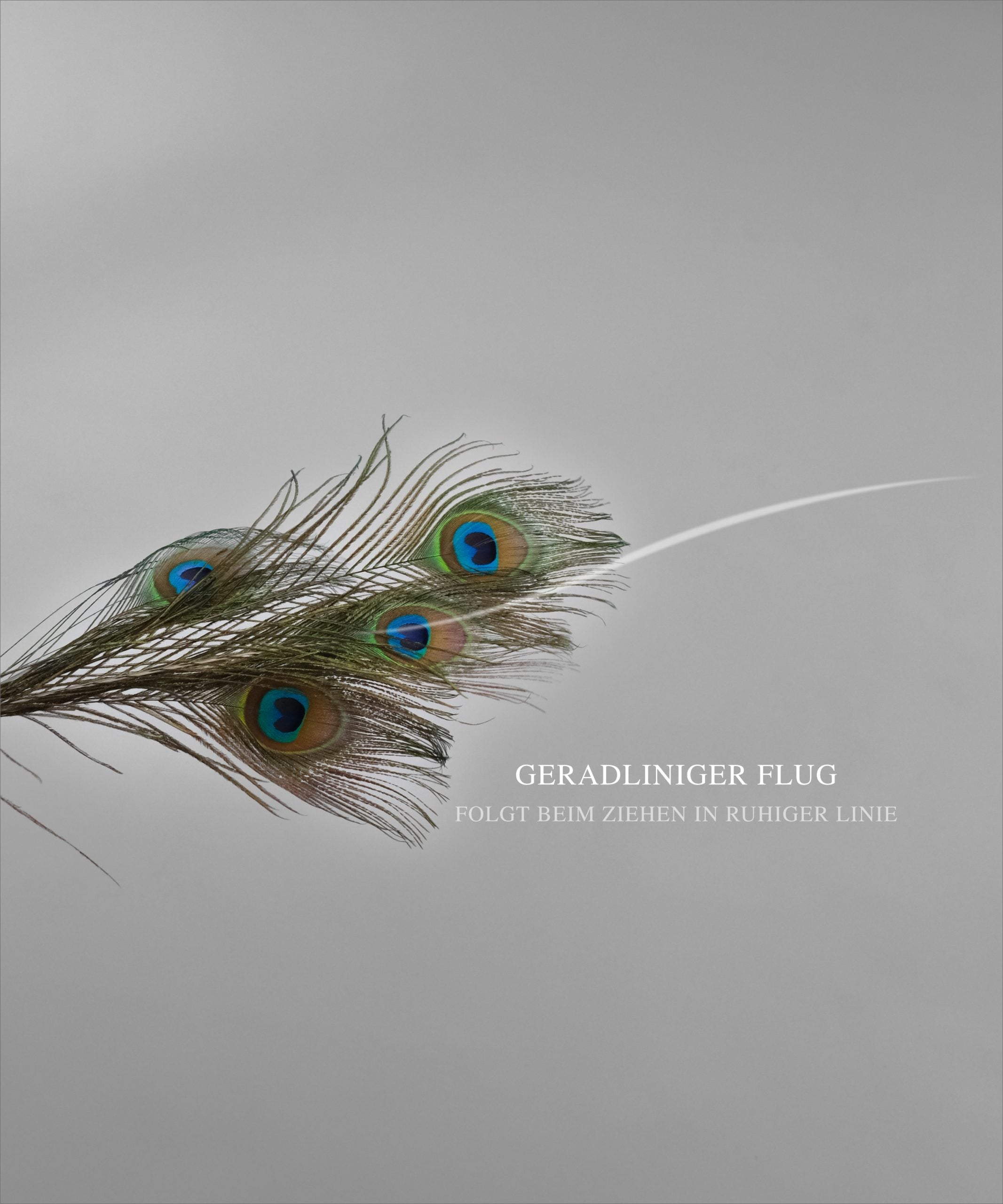 REPLACEMENT BAIT PEACOCK
