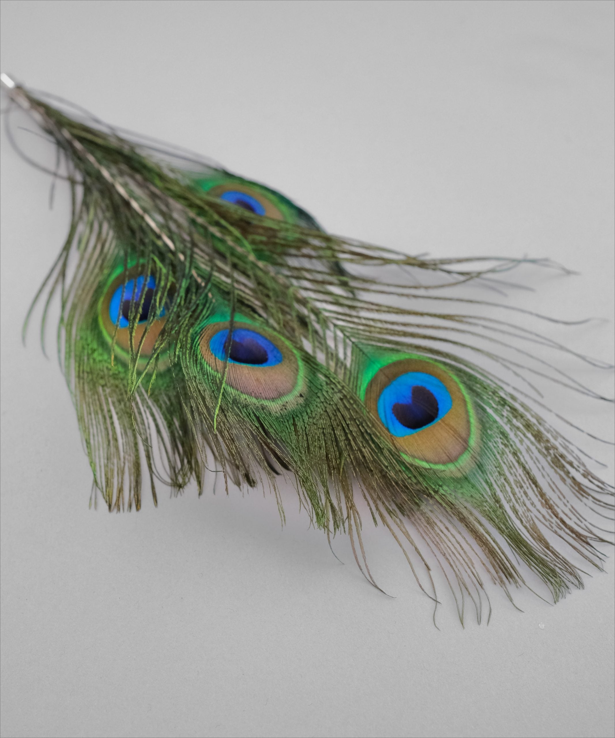 REPLACEMENT BAIT PEACOCK