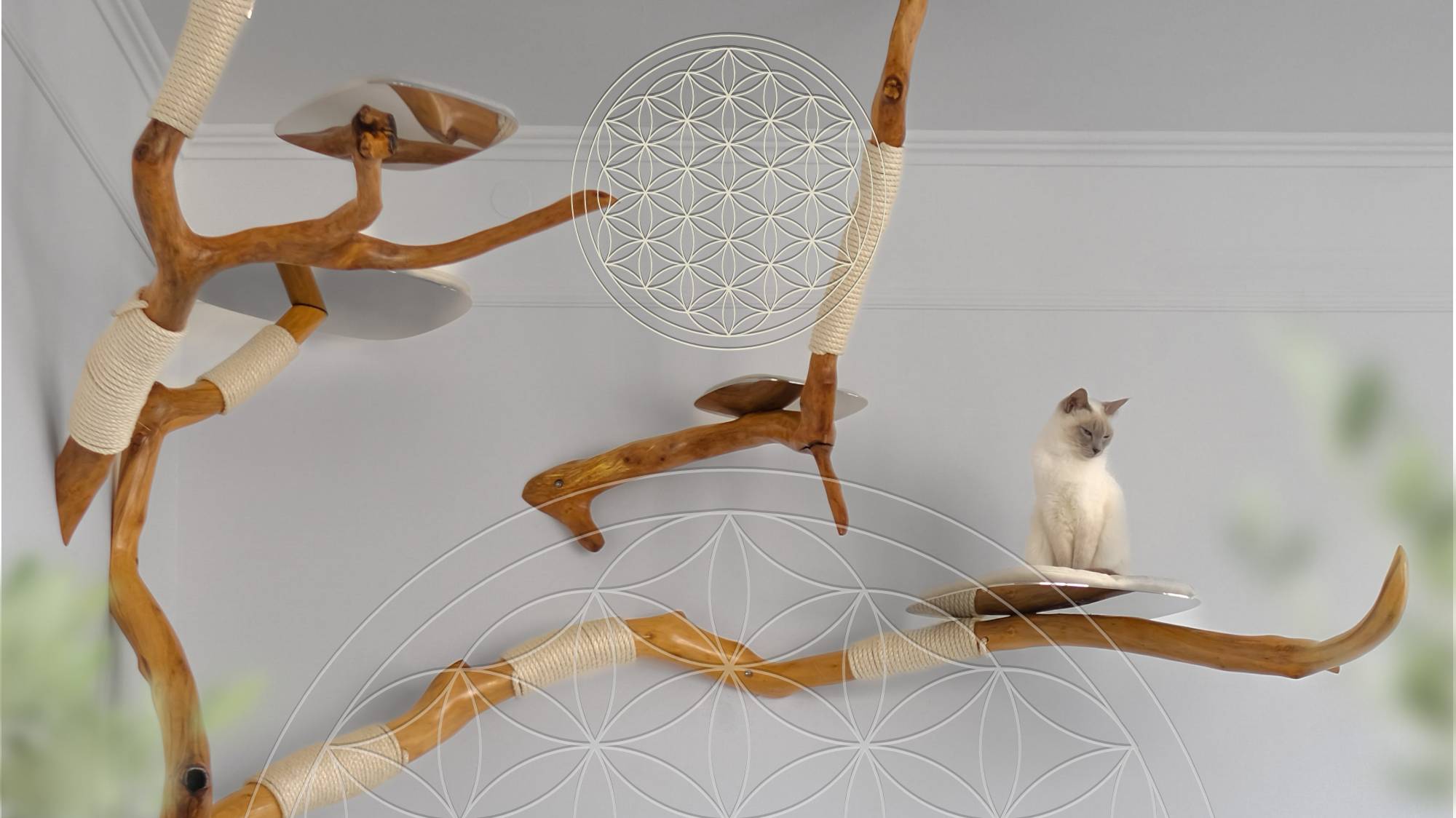 Paradiesische Kratzbäume