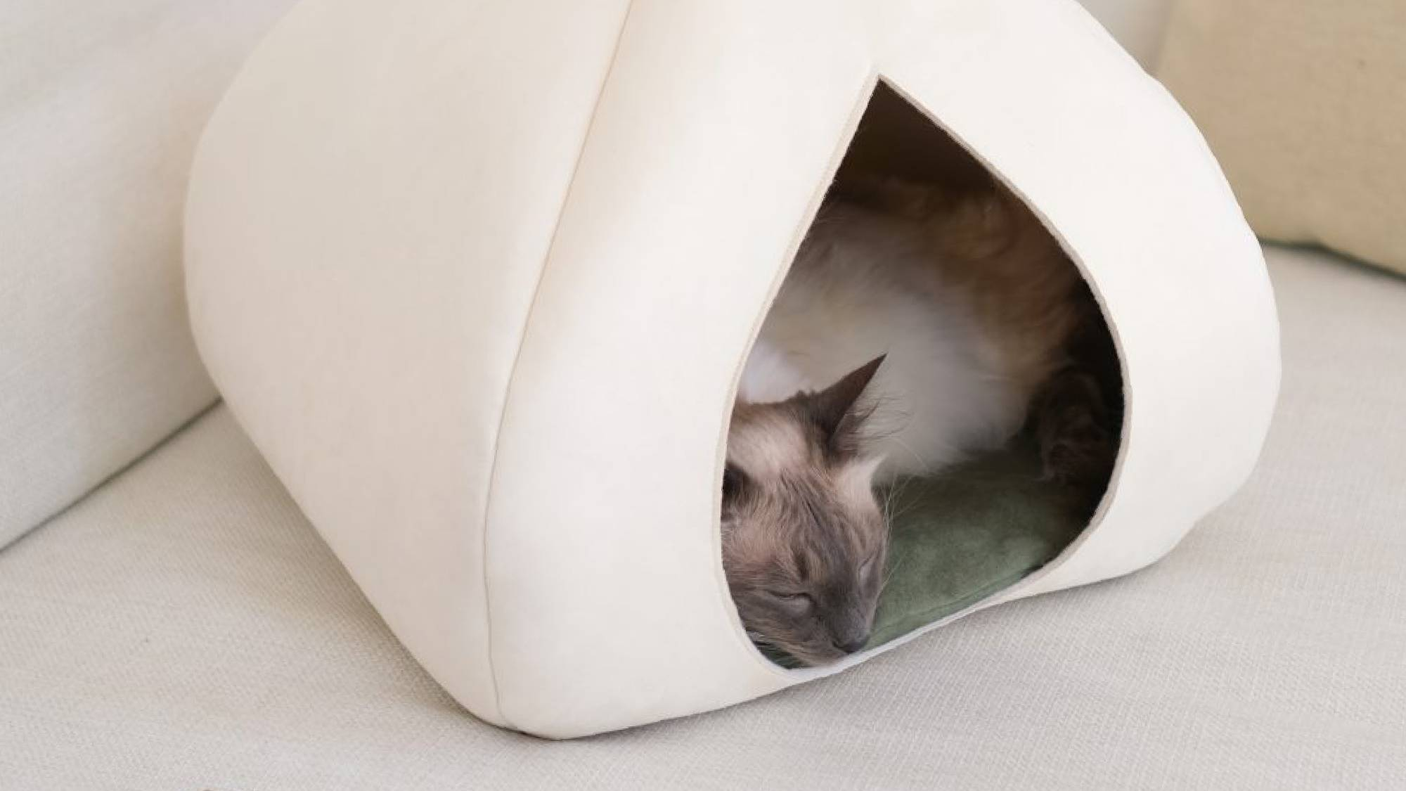 Spielzeug & Zubehör