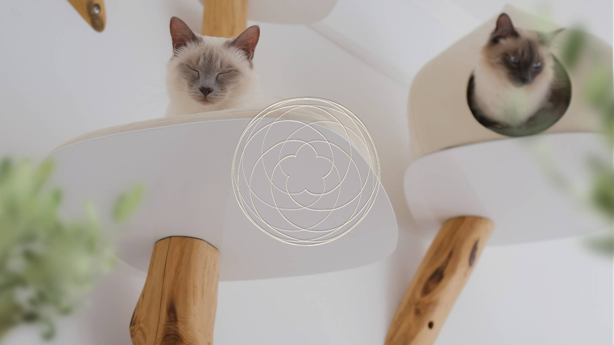 'Elegance' Kletterparks