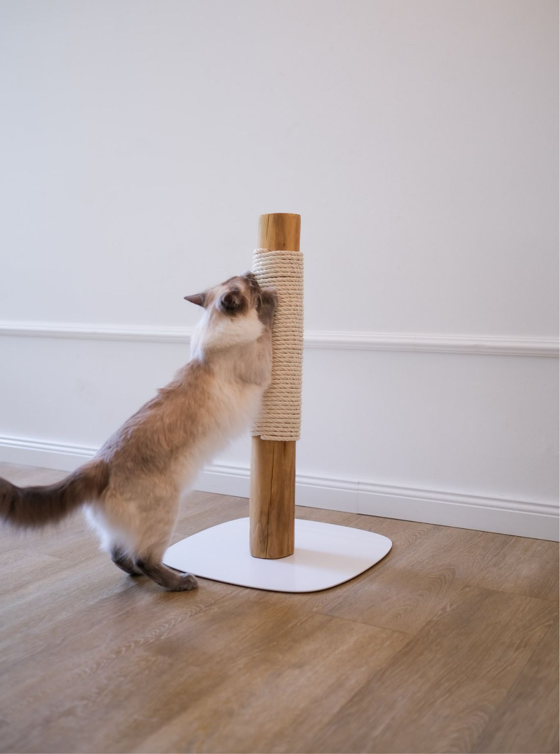 Scratching post standing