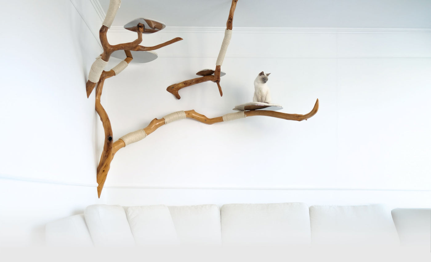 Design Kratzbaum