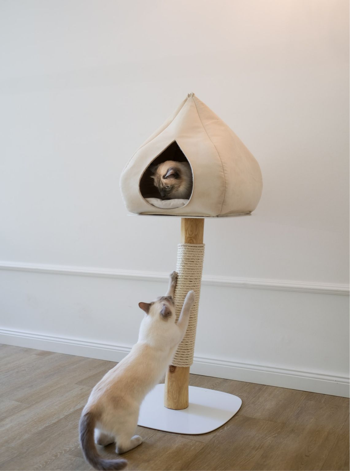 Cat pedestal