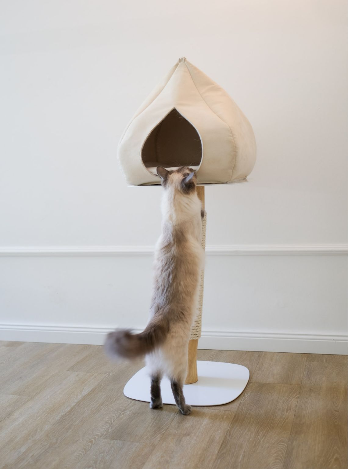 Cat pedestal