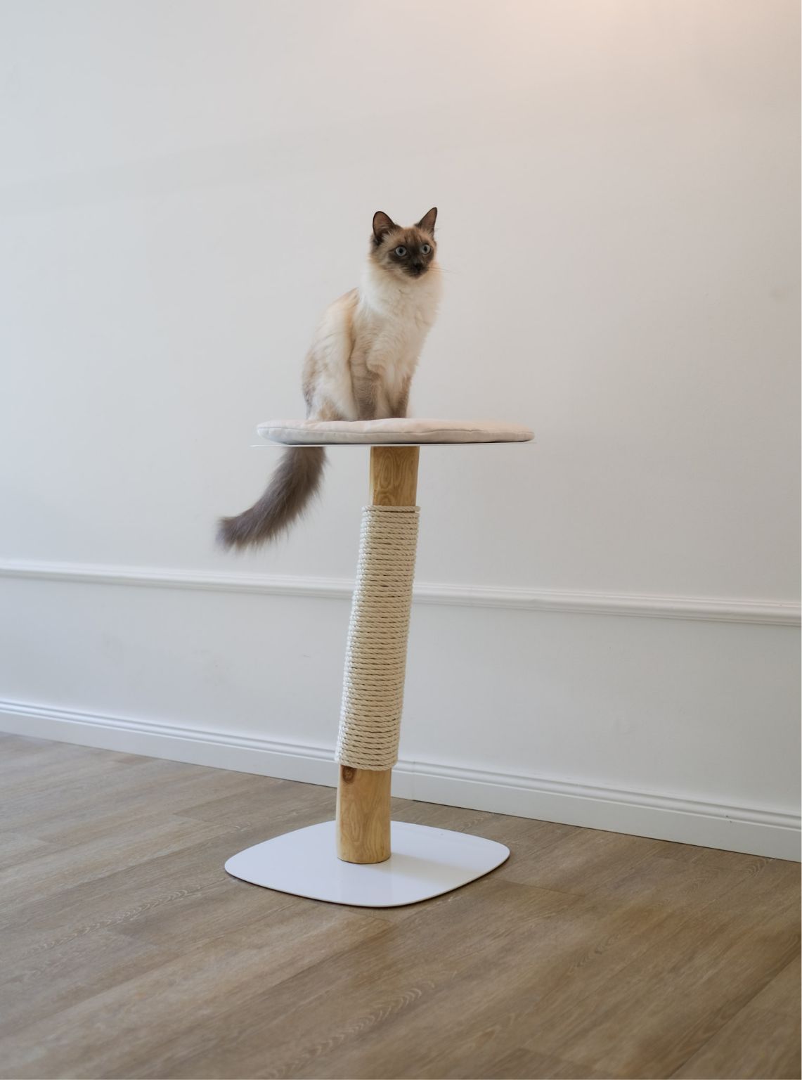 Cat pedestal